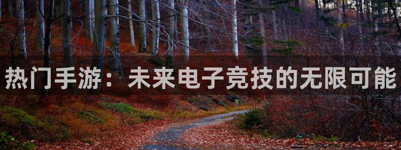 蓝图娱乐app最新版：热门手游：未来电子竞技的无限可能