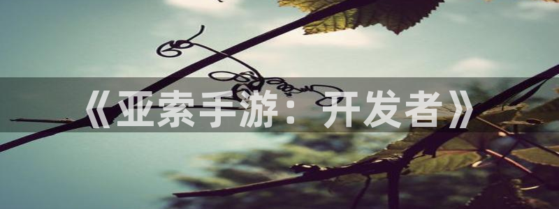 蓝图娱乐ios：《亚索手游：开发者》