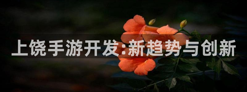 28大神开奖查询：上饶手游开发:新趋势与创新