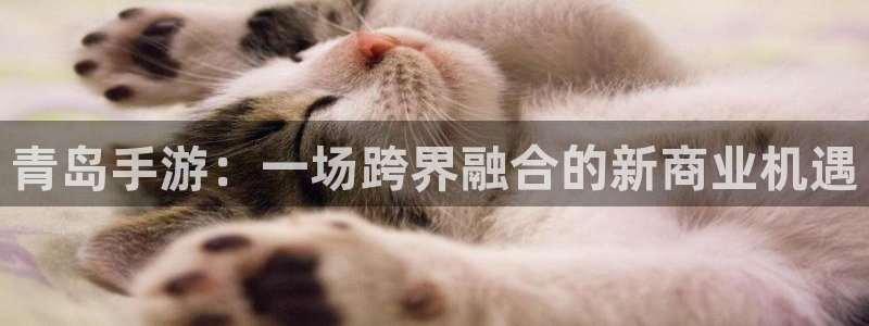 pc28大神预测官网下载地址