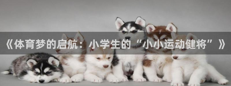 3377体育app登录入口：《体育梦的启航：小学生的“小小运动健将”》