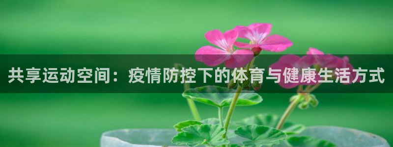 3377体育官网：共享运动空间：疫情防控下的体育与健康生活方式