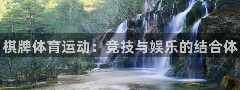3377体育官网下载