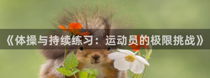 3377体育靠谱吗：《体操与持续练习：运动员的极限挑战》