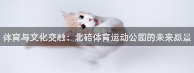 3377体育在线：体育与文化交融：北碚体育运动公园的未来愿景