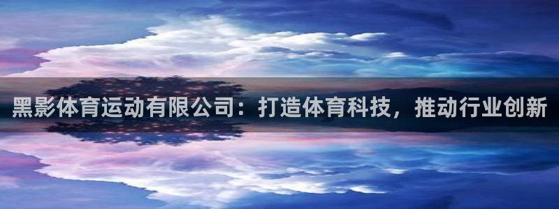3377体育平台：黑影体育运动有限公司：打造体育科技，推动行业创新