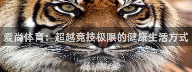 3377体育官网：爱尚体育：超越竞技极限的健康生活方式