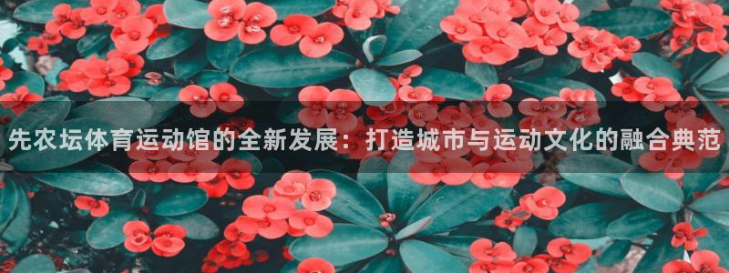 3377体育app下载安装：先农坛体育运动馆的全新发展：打造城市与运动文化的融合典范