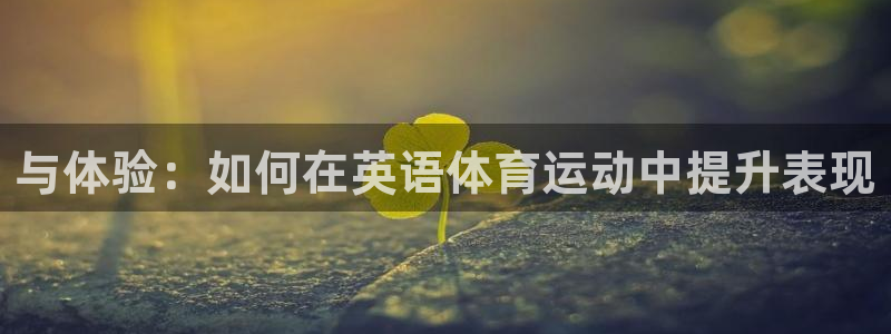 3377体育官网入口下载最新：与体验：如何在英语体育运动中提升表现