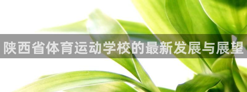 3377体育app登录入口：陕西省体育运动学校的最新发展与展望