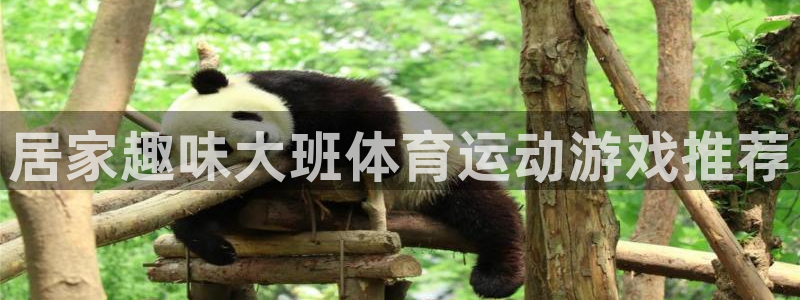 3377体育是正规的吗