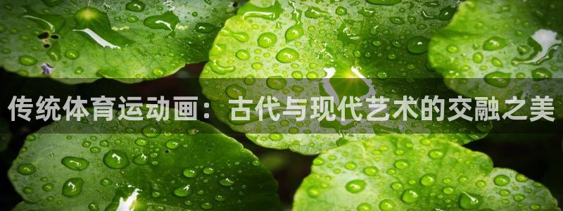 3377体育：传统体育运动画：古代与现代艺术的交融之美