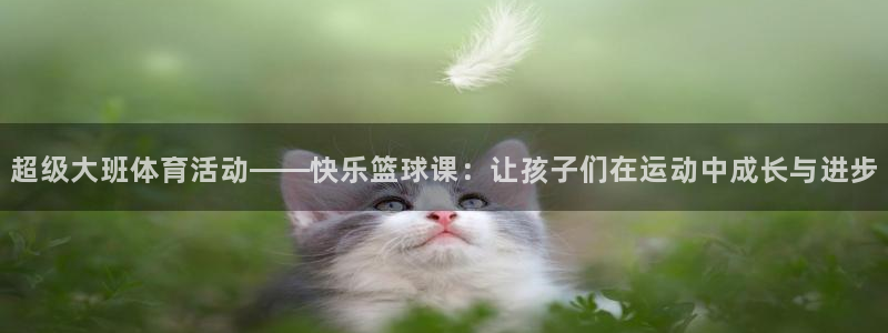 3377体育com：超级大班体育活动——快乐篮球课：让孩子们在运动中成长与进步